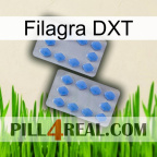Filagra DXT 20